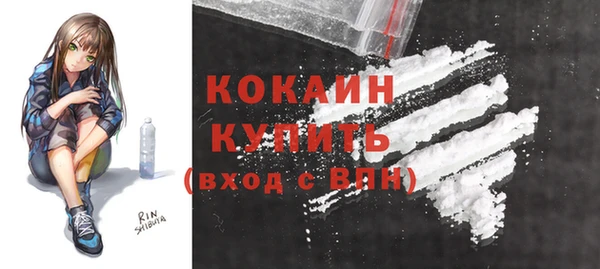 apvp Верея